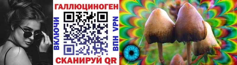 закладка  Нахабино  Галлюциногенные грибы мухоморы 